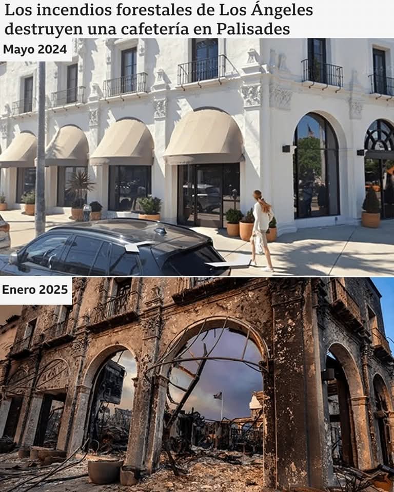 Antes y Después: La Devastación de los Incendios en Los Ángeles - Diario 16
